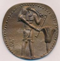 Ligeti Erika (1934-) 1981. "Nemzetközi Gyógyszerésztörténeti Kongresszus" Br emlékérem (~5...