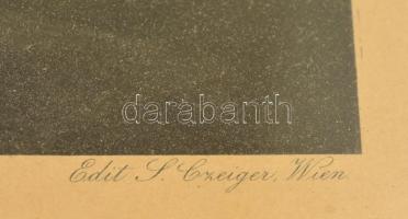 cca 1900 Richard Wagner Schweninger festménye után, litográfia, kiadó S. Czeiger, Wien, üvegezett hi...