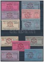 Miskolc 1925-1936. "Miskolczi Orthodox Izraelita Hitközség" 46db vágatási bárca és értékje...