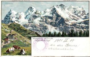 Wengeralp Litho s: Steinmark