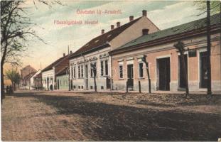 Arad, Újarad, Aradul Nou; Főszolgabírói hivatal, Mayr Lajos üzlete / chief constables office, shop of Mayr