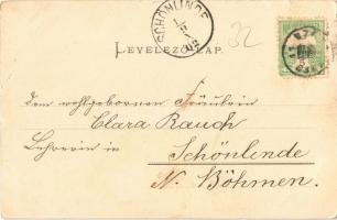 1902 Szászsebes, Mühlbach, Sebesul Sasesc, Sebes; Elisabeth Park / park