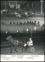 3 db az ügetőn készült fotó 14x10 cm 18x13 cm