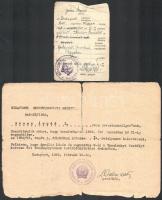 cca 1951 Orvostanhallgató 3 db okmánya