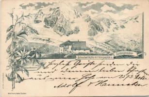1895! Meran Litho
