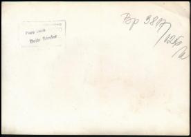 cca 1950-1960 Magyar ifjúsági labdarúgó válogatott, Bojár Sándor pecséttel jelzett fotója, felületén...