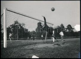 cca 1950-1960 Magyar ifjúsági labdarúgó válogatott, Bojár Sándor felvétele, felületén sérüléssel, 13×18 cm
