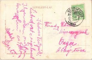 1911 Mezőhegyes, Hűség V. sz. mén. W.L. Bp. 5228. Auspitz Lajos kiadása