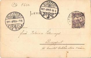 1901 Segesvár, Schässburg, Sighisoara; Alberthaus (Knabeninternat), Stundthurm / Albert ház (bentlak...