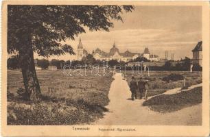 1916 Temesvár, Timisoara; Kegyesrendi főgimnázium / grammar school (EK)