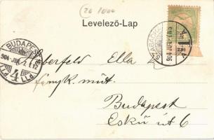 1904 Szabadka, Subotica; Szentháromság szobor, Battyhány utca, Grünbaum Mór üzlete. Vig. Zsigm. Sánd...