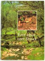 Schmidt Egon-Bécsy László: Ezer ágán, ezer fészek. Bp.,1981.,Móra. Kiadói kartonált papírkötés.