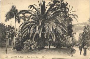 Monte-Carlo, Dans les Jardins / garden, palm tree