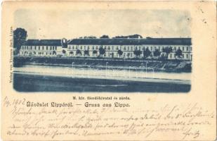 1902 Lippa, Lipova; M. kir. főerdőhivatal és zárda. Theresia Zach kiadása / forestry office and nunnery