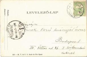 1907 Gyula, a régi gyulai vár. M. T. és F. V. Koch és Pór 530. (EK)