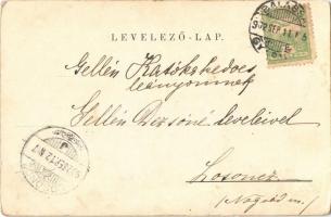 1902 Balassagyarmat, Vármegyeháza. Wertheimer Zs. kiadása (kopott sarkak / worn corners)