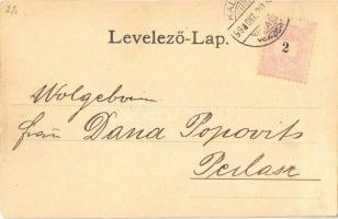 1899 Kalocsa, Törvénykezési palota, Székesegyház, Érseki palota, Zárda és árvaház, Főgimnázium és cs...