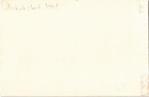 ~1908 Herkulesfürdő, Baile Herculane; vasútállomás, pályaudvar, gőzmozdony / railway station, locomo...