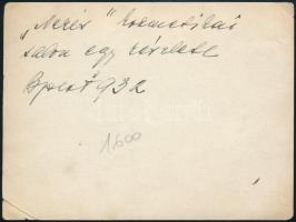 1932 Bp., Kozmetikai labor egy részlete, hátoldalon feliratozott fotó, felületén törésnyomok, 9×12 c...