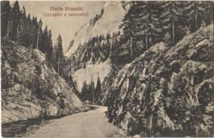 Békás-szoros, Cheile Bicazului; útrészlet a szorosból / road in the gorge