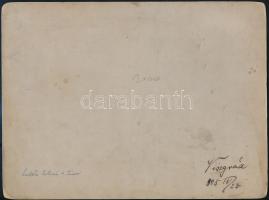 1905 Visegrád, kartonra kasírozott fotó, hátoldalon feliratozva, 12×15 cm