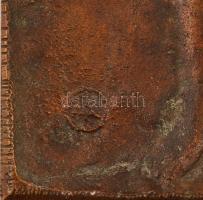 Czinder Antal (1937-): Női akt (Villon idézettel). Bronz falikép, jelzett, 27×18,5 cm