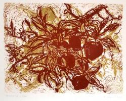 Somlai Vilma (1938-2007): Csendélet. Színes linó (10/100), papír, jelzett, 30×39 cm