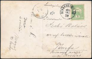 cca 1900 Kislány, állatokkal. Fotólap