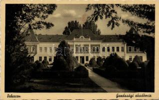 Debrecen economic academy (fl)