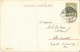 1907 Besztercebánya, Banská Bystrica; Garami részlet / Hron riverside. W.L. 526.  (EK)