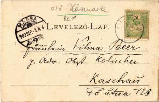 1902 Leibic, Leibicz, Leibitz, Lubica; Evangélikus templom, Fő utca, Rózsa menház. Lindtner Gyula ki...