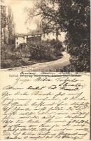 1924 Brogyán, Brodzany (Bars megye); kastély / castle (EK)