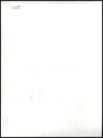 Berendi Ferenc (?-?): Igában, pecséttel jelzett fotó, egyik sarkán törésnyom, 30×40 cm