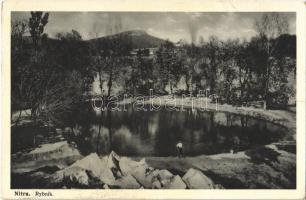 Nyitra, Nitra; tó / Rybník / lake (szakadás / tear)