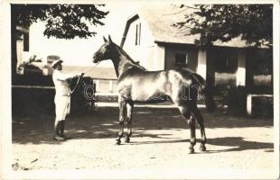 Kiszács, Kisac; Irmora puszta, ménes farm / stud farm. photo