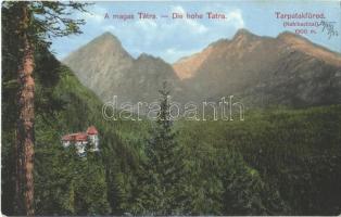 Tátra, Vysoké Tatry; Tarpatakfüred, Wildbad Kohlbach