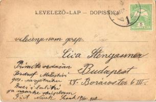 Újsziszek, Novi Sisak (Sziszek, Sisak); látkép, híd, uszály. S. Jünker kiadása / general view, bridg...