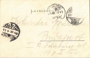 1905 Nagybecskerek, Zrenjanin, Veliki Beckerek; Ferenc József tér és bejárat a Jókai utcába, Schneid...