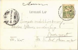 1904 Szentes, Vármegyeháza, piac