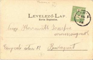 1916 Lipik, Domisljen Villa, szélmalom. Schnapek kiadása / villa, windmill (EK)