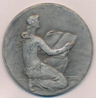 Csehszlovákia 1959. "PEDAGOGICKÁ FAKULTA V NITRE (Nyitrai Pedagógiai Fakultáns)" ezüstözöt...