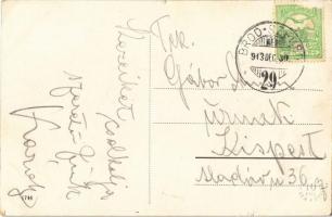 1913 Dálya, Dalja, Dalj (Erdőd, Erdut); Planinska utca, Krausz üzlete / Planinska ulica / street vie...