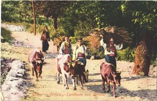 1912 Seljaci iz Krtola / Landleute aus Krtole / Montenegrin folklore, peasants from Krtole, cattle (EK)