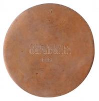 1973. "Budapesti Művészetbarátok Egyesülete 1973" Br emlékérem gravírozott hátoldallal tar...