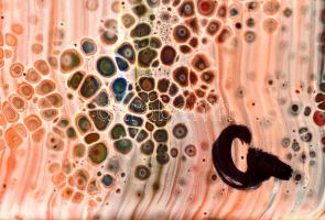 Csepregi Anita (1985-): Kert Akril, farost, jelzett, 40x30cm