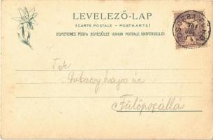 1901 Tátra, Magas Tátra, Vysoké Tatry - 2 db régi képeslap: Csorba-tó, Halastavak az őrházzal, Augus...