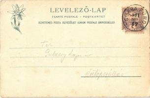 1901 Tátra, Magas Tátra, Vysoké Tatry - 2 db régi képeslap: Csorba-tó, Halastavak az őrházzal, Augus...