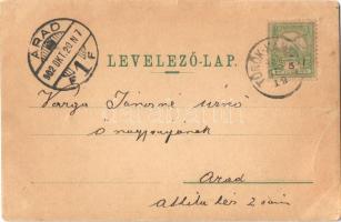 1902 Törökkanizsa, Nova Kanjiza, Novi Knezevac; Schulpe kastély. Szegyákov S. kiadása / castle (EB)