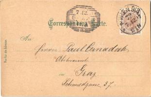 1897 (Vorläufer!) Wien, Vienna, Bécs; bei Nacht. Neueste Aufnahme bei Nacht / at night, owls, bats, ...