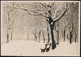 1929. január 27. Kinszki Imre (1901-1945) budapesti fotóművész hagyatékából jelzés nélküli, de a szerző által datált, vintage fotó (Városliget télen, ez a szerző által számozott 80. felvétele), 6x8,5 cm